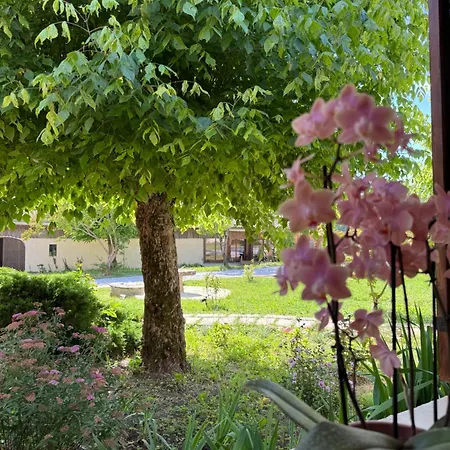 Chateau Eck Couette-café 3*