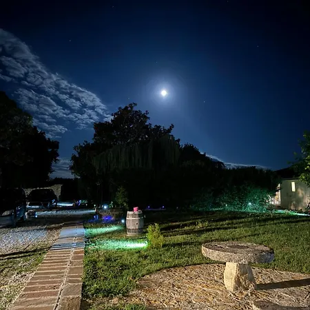 Chateau Eck Bed & Breakfast Cadaujac