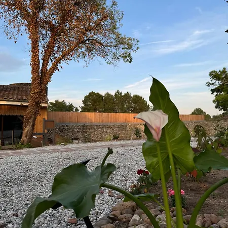 Chateau Eck 住宿加早餐酒店