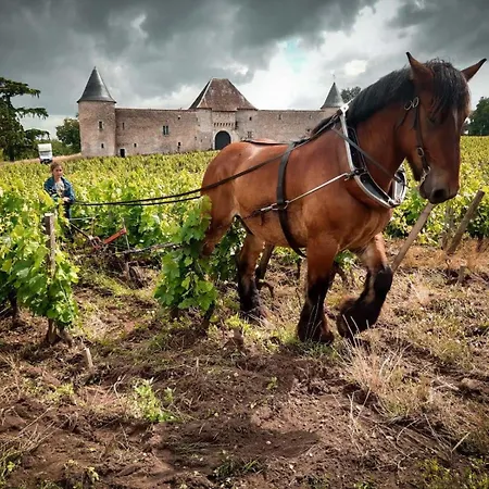 Couette-café Chateau Eck