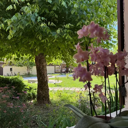 住宿加早餐酒店 Chateau Eck Cadaujac