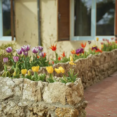 Chateau Eck Couette-café 3*