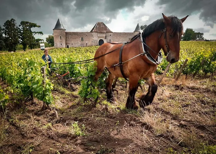 Bed & Breakfast Chateau Eck